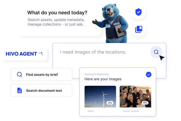assets management