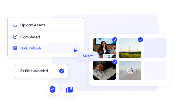 assets management