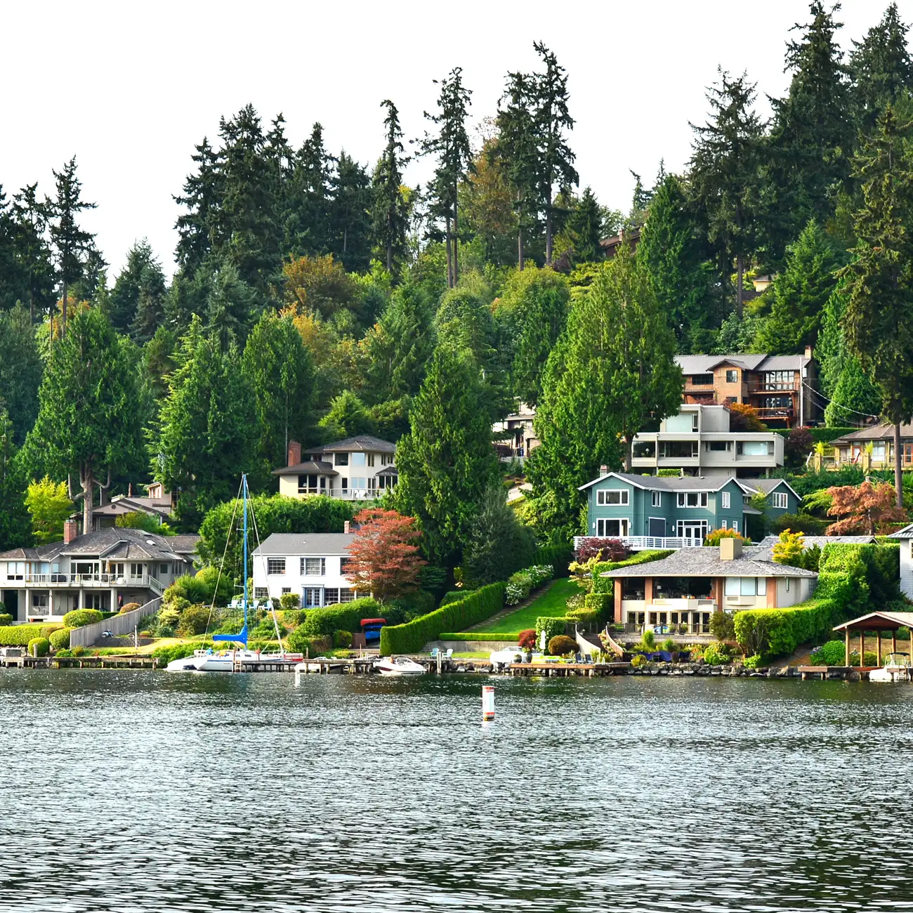 Waterfront houses surrounded by trees and a forested hill in the background.