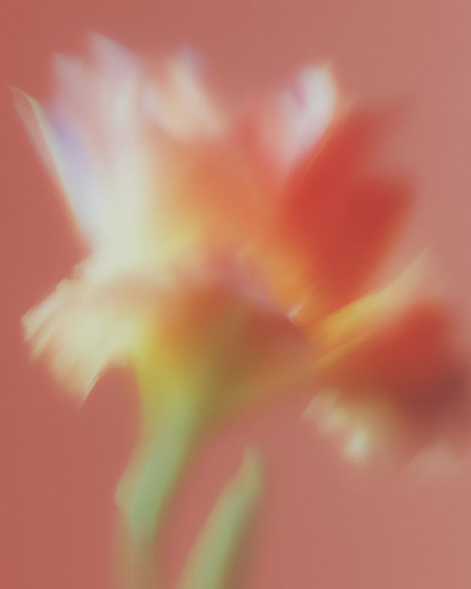 Abstract close-up of a soft, blurry flower with warm orange and yellow hues on a peach background.
