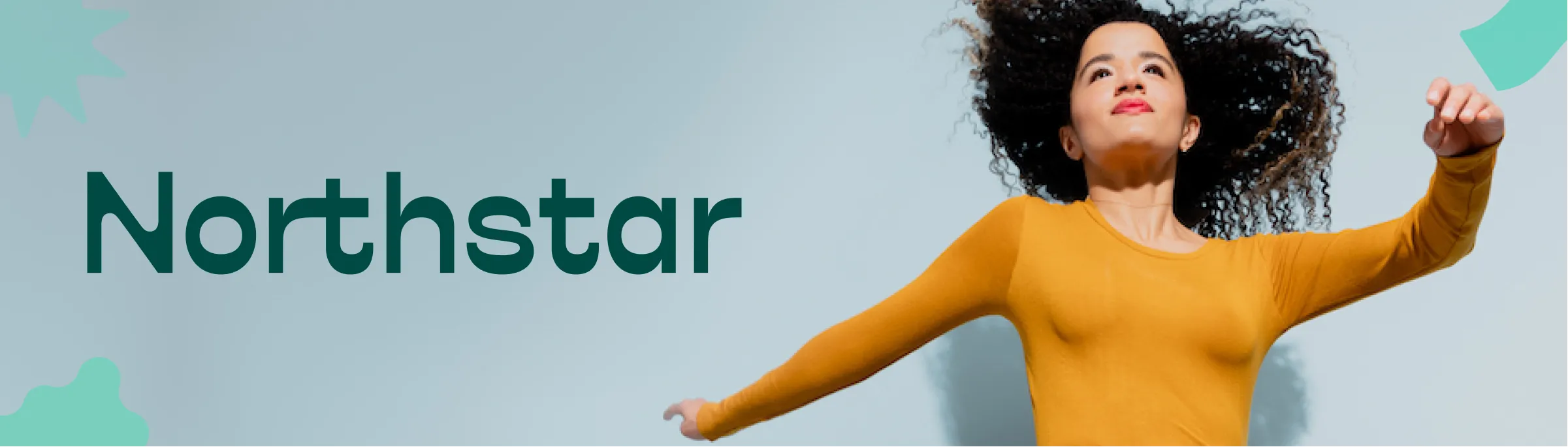 Northstar banner v1
