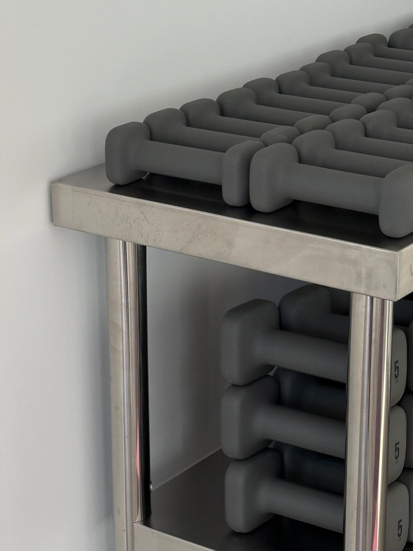 Dumbbells on a steel rack