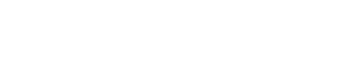 ALVION text logo with copyright symbol.