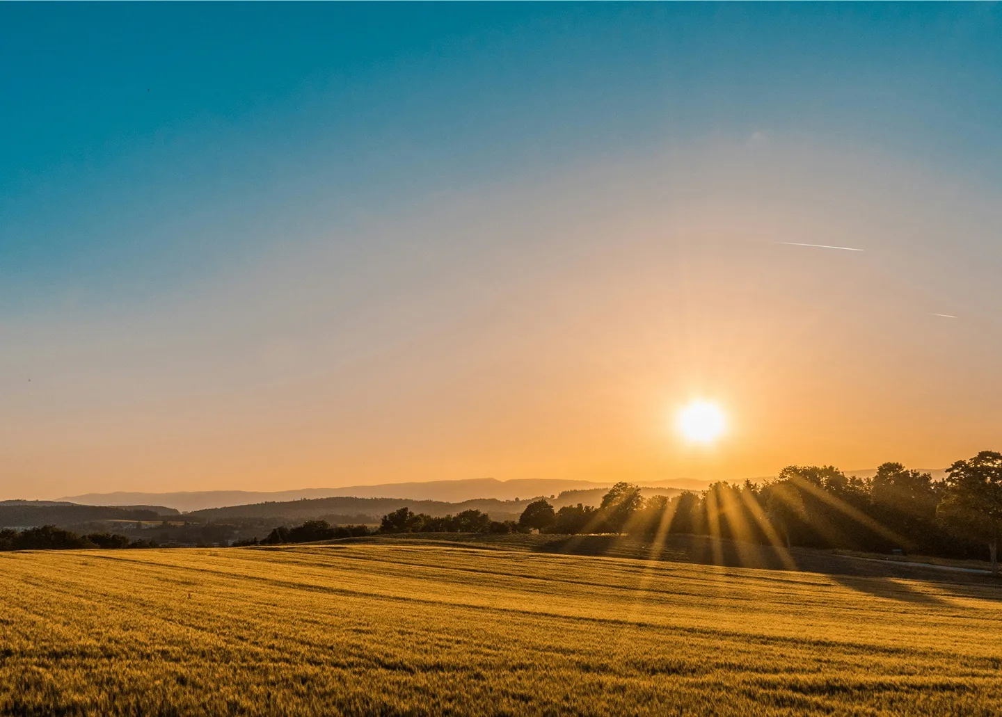 Golden sunset over a wide open field, suggesting renewal and hope.