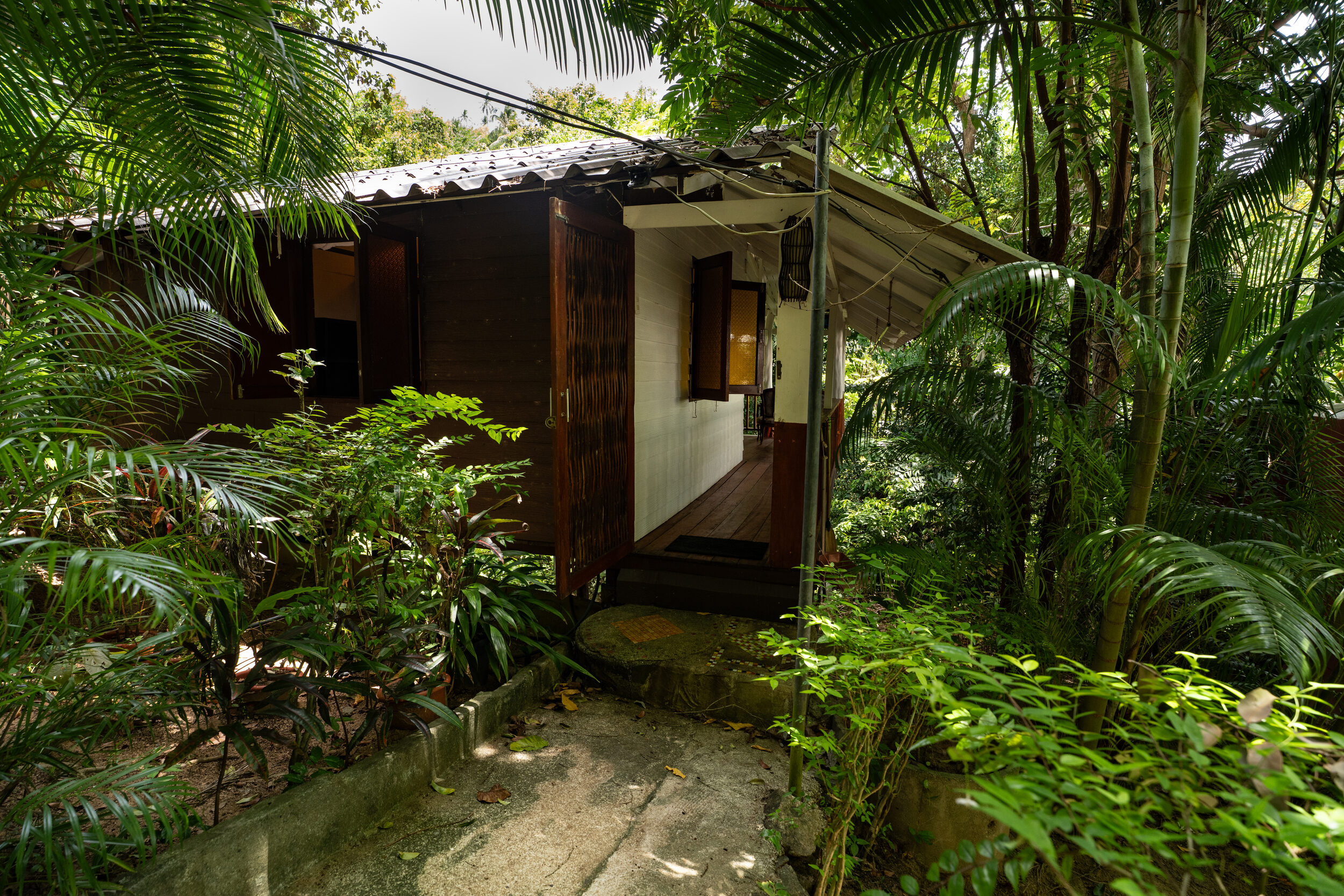 Jungle House