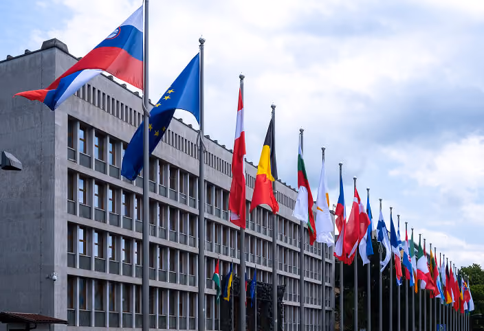 Řada vlajek států Unie vlajících před ambasádou.