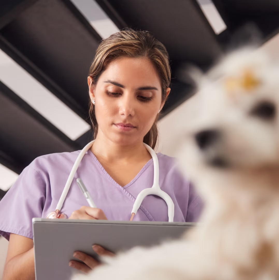 Provet healthcare professional in purple scrubs taking notes on Pay clipboard