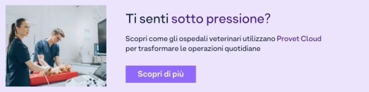 IT - Vet Hospital
