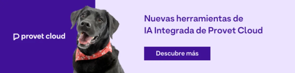 AI Tools