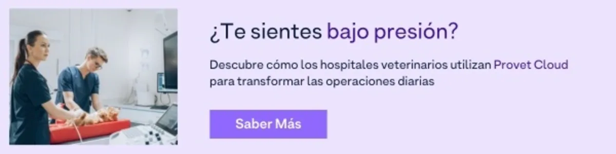 ES - Vet Hospital