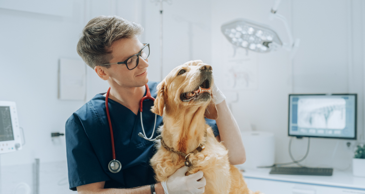 flexibility-autonomy-in-veterinary-medicine