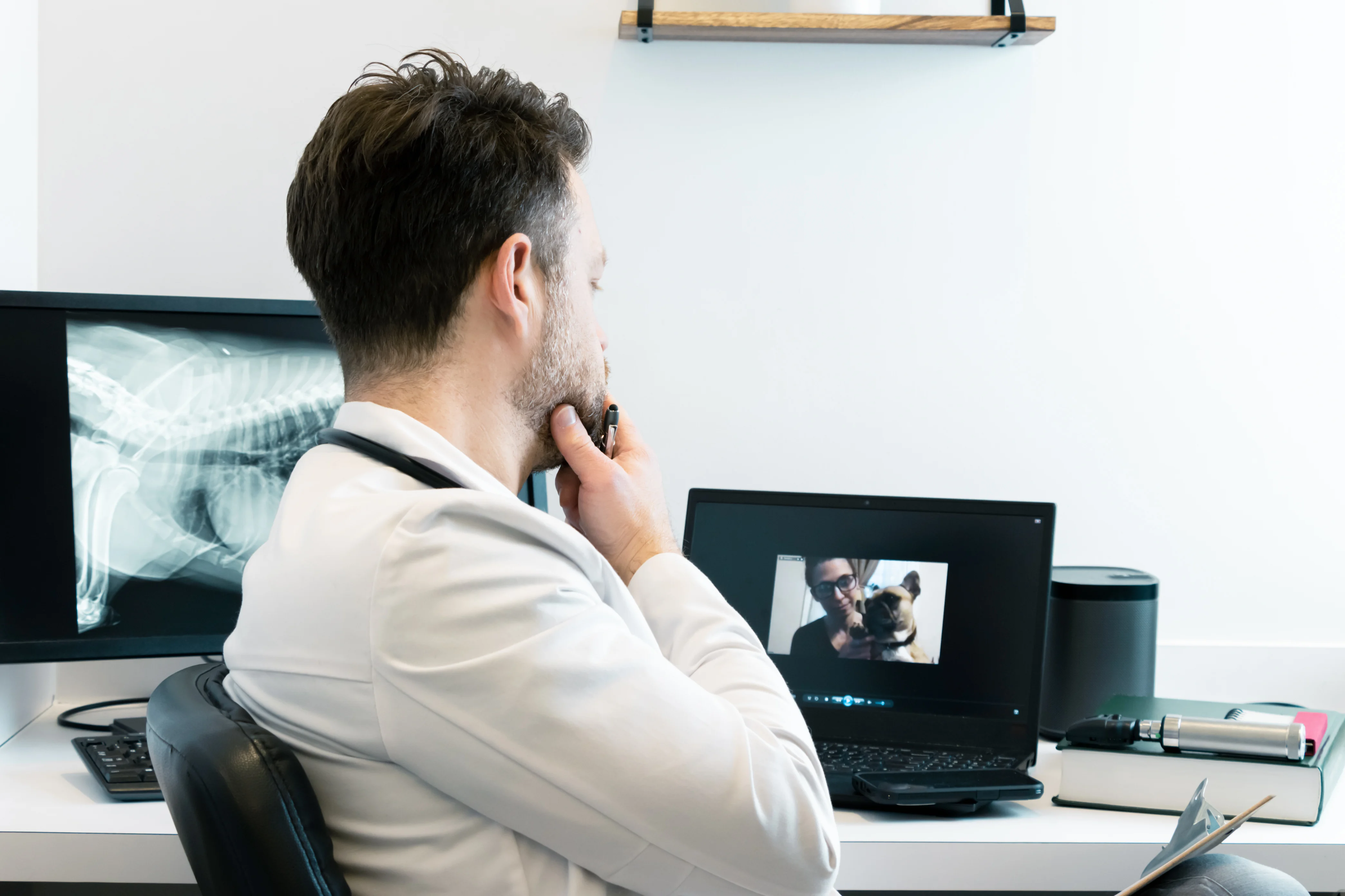 Veterinarian_telemedicine