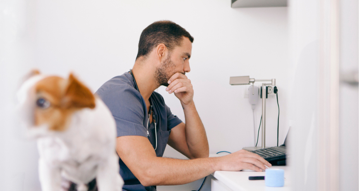 Software veterinario en la nube: lo que debes saber