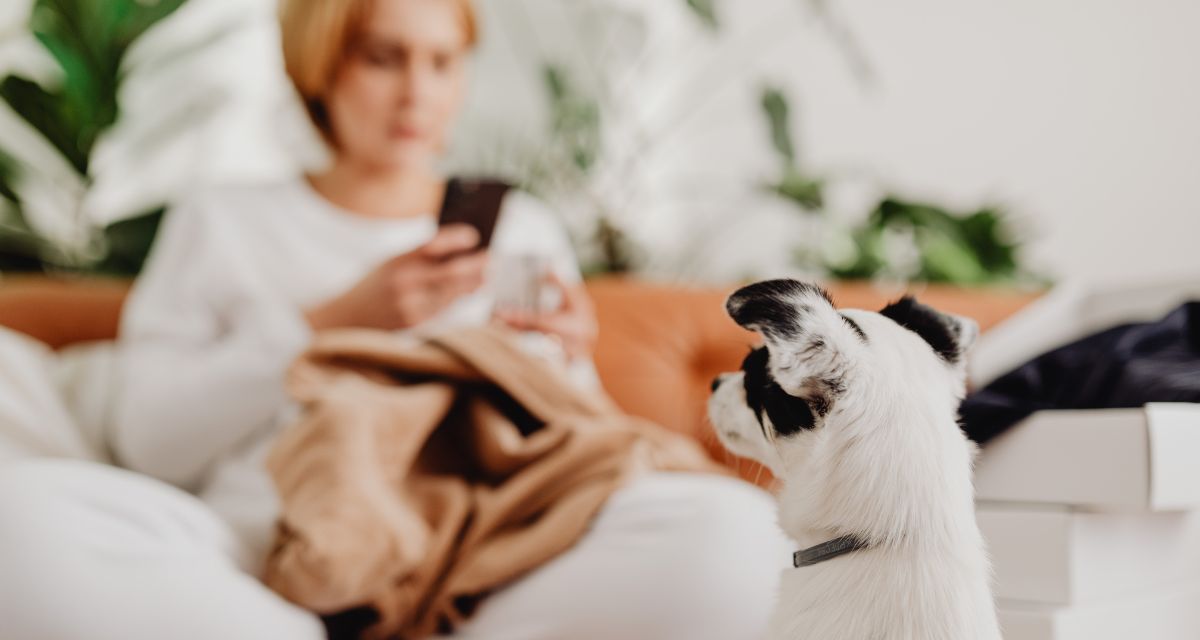 Veterinary Booking Software: How to Fill Your Calendar and Cut No-Shows