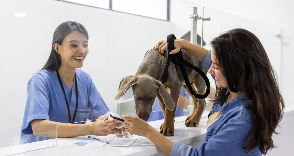 A Practical Guide to Vet Payment Processing for Busy Clinics 
