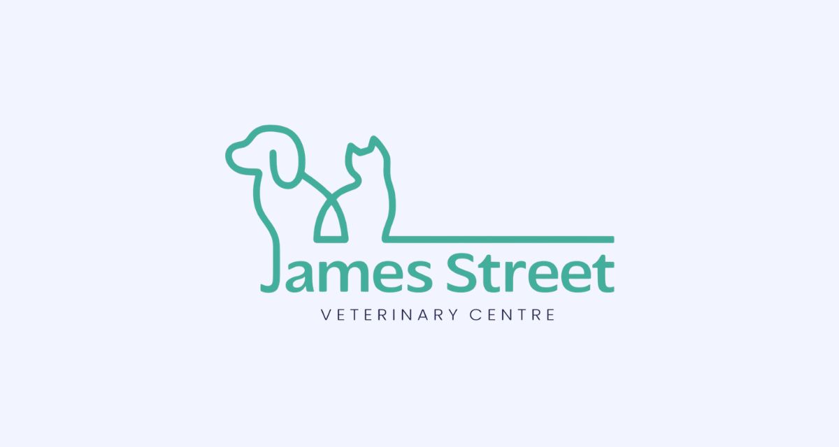James Street Vets