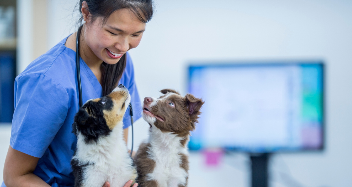 Multi-Location Vet Practice Software