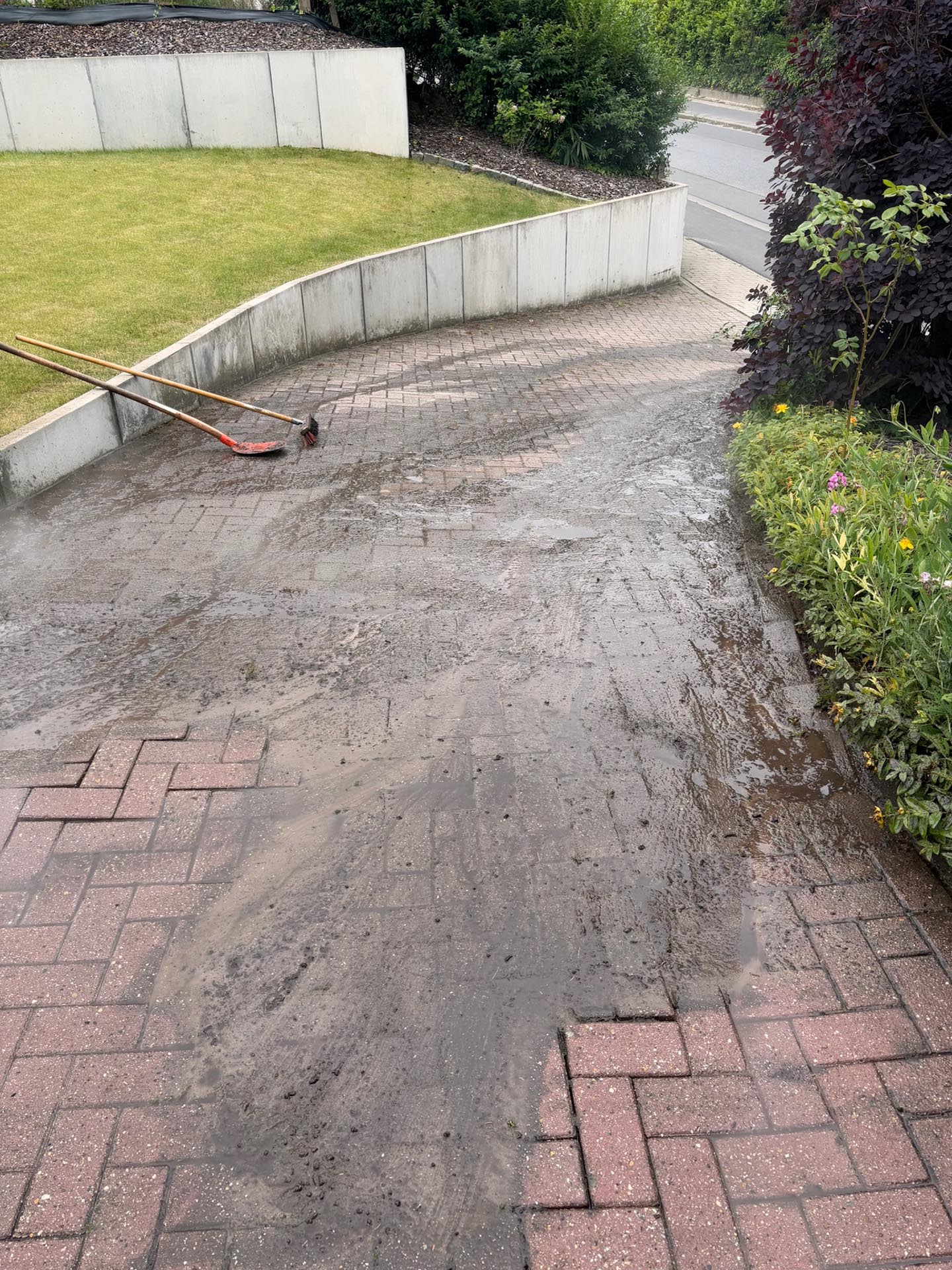 Kasseien oprit tijdens hogedrukreiniging verwijdering van mos en algen door Mossmasters