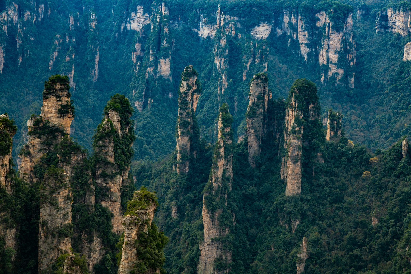 9D8N Golden Amazing Chongqing Wulong Fenghuang Zhangjiajie