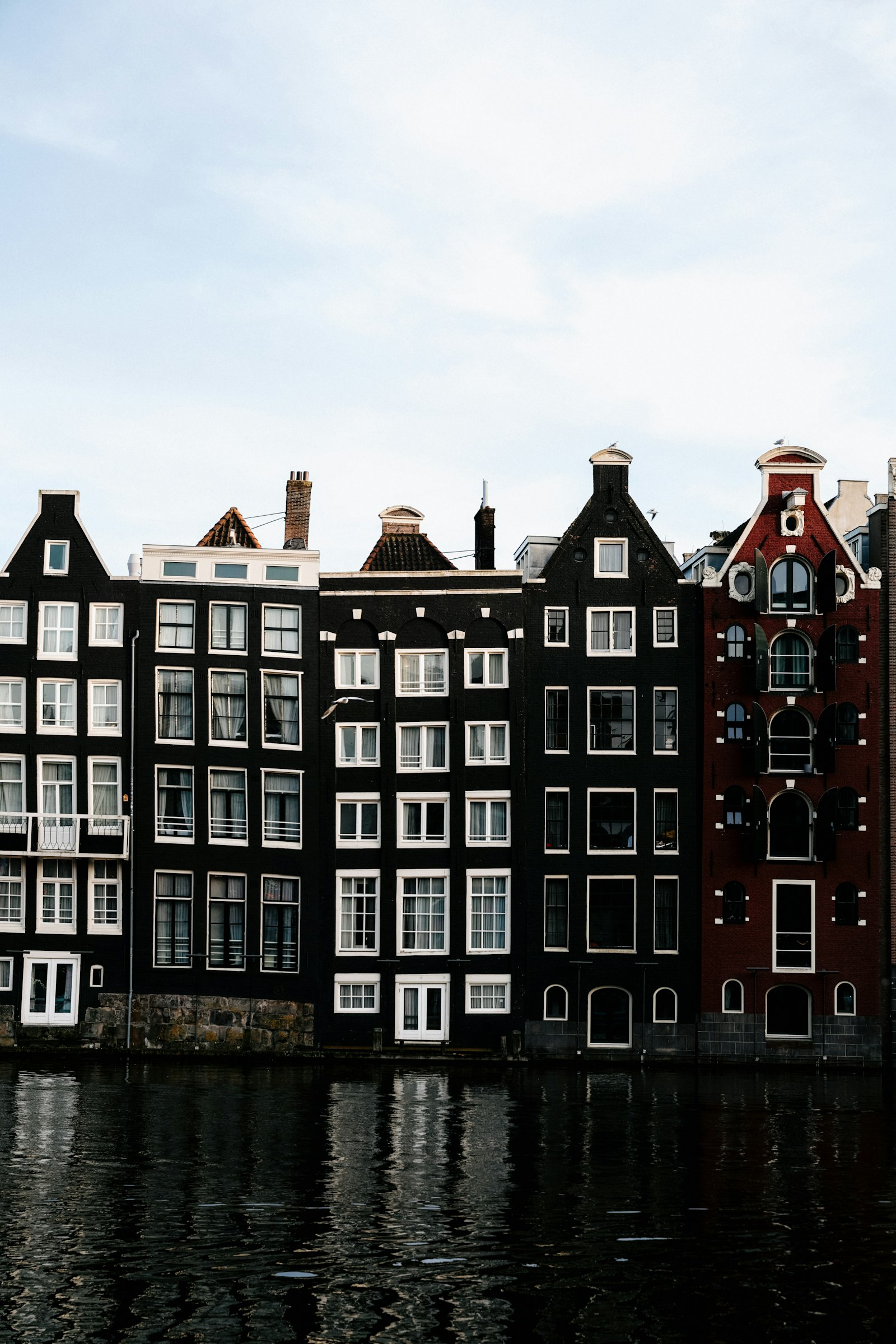 4D Netherland Mini Tour