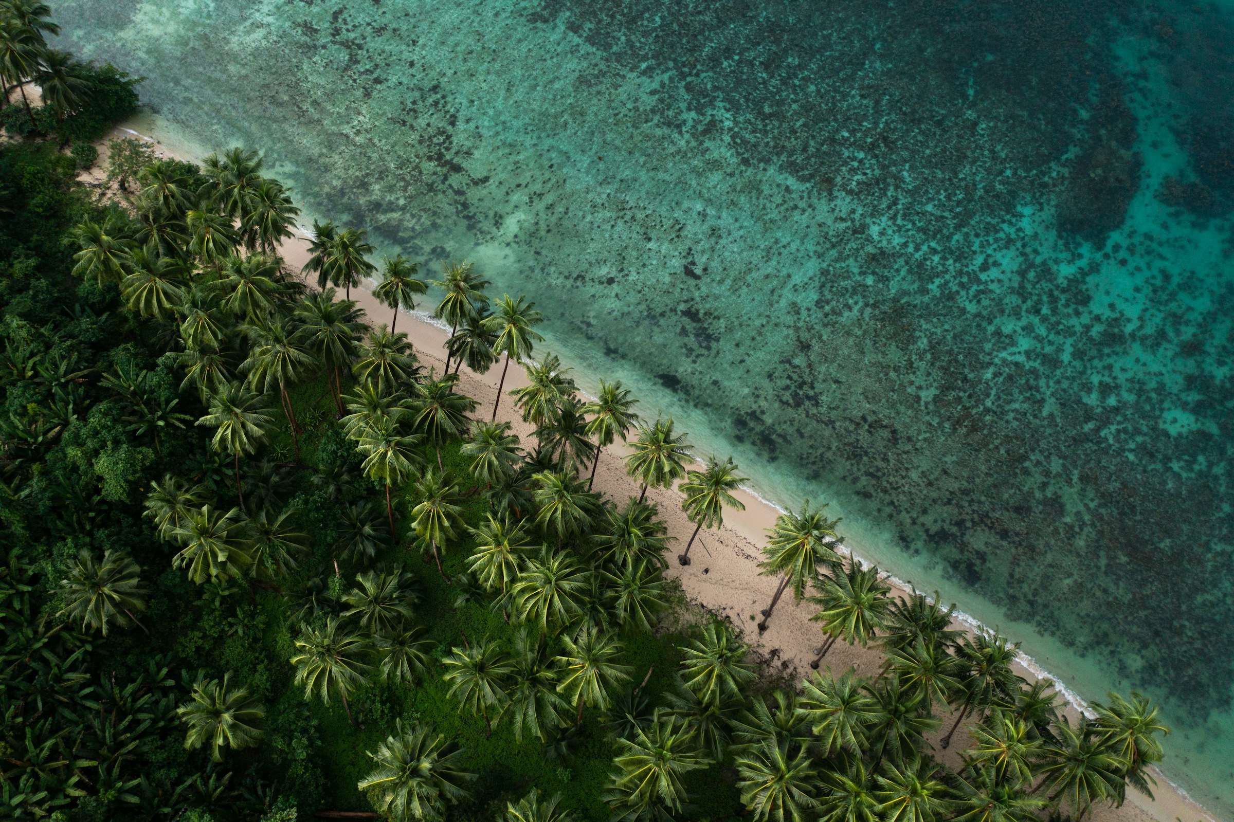 5D Tropical Escape Hainan