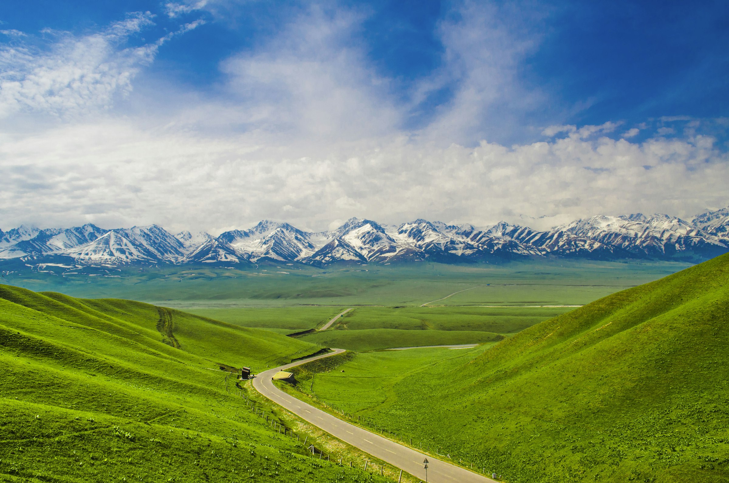 9D Favorite North Xinjiang