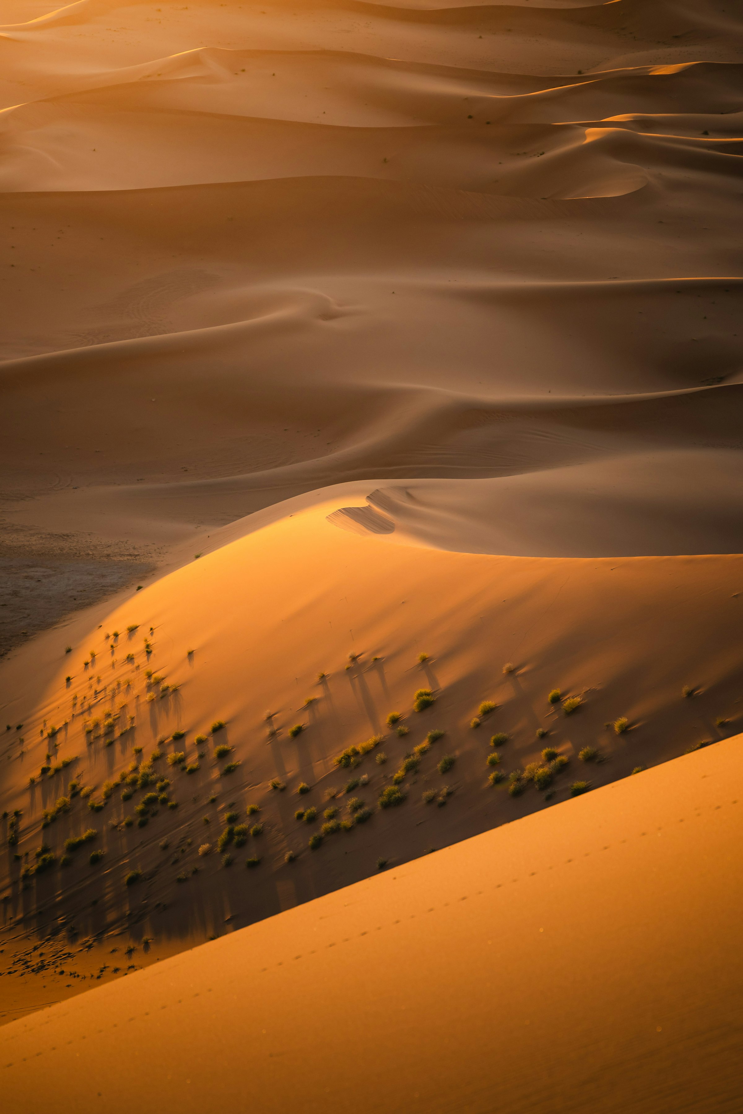 9D Gansu Silk Road