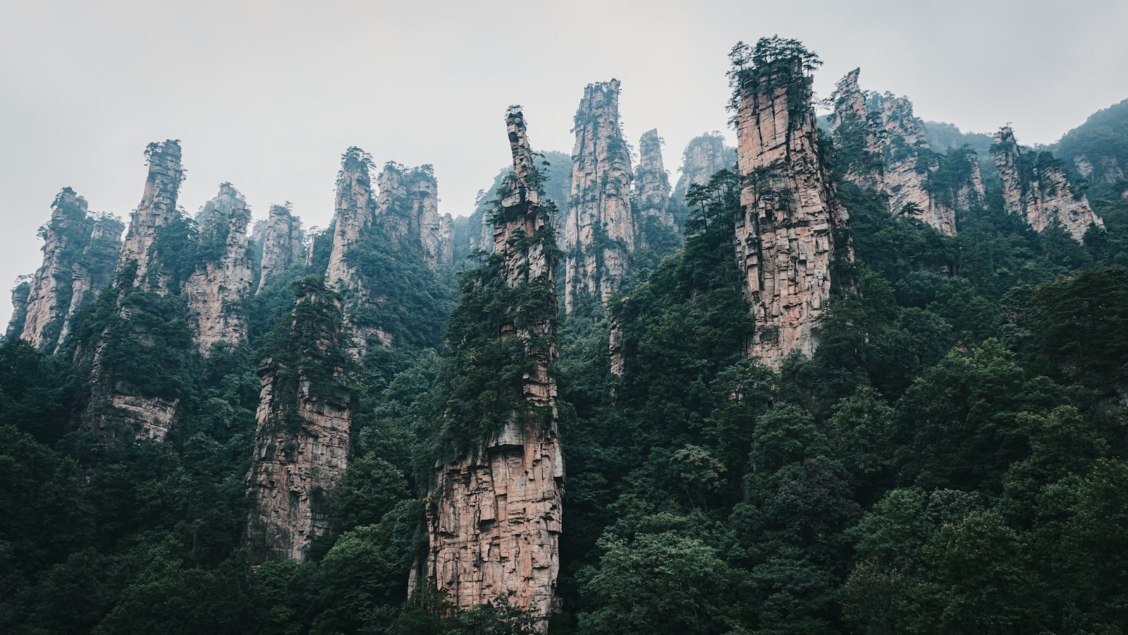 8D Ultimate China Escape Chengdu Chongqing Zhangjiajie