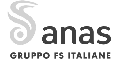 Anas Logo