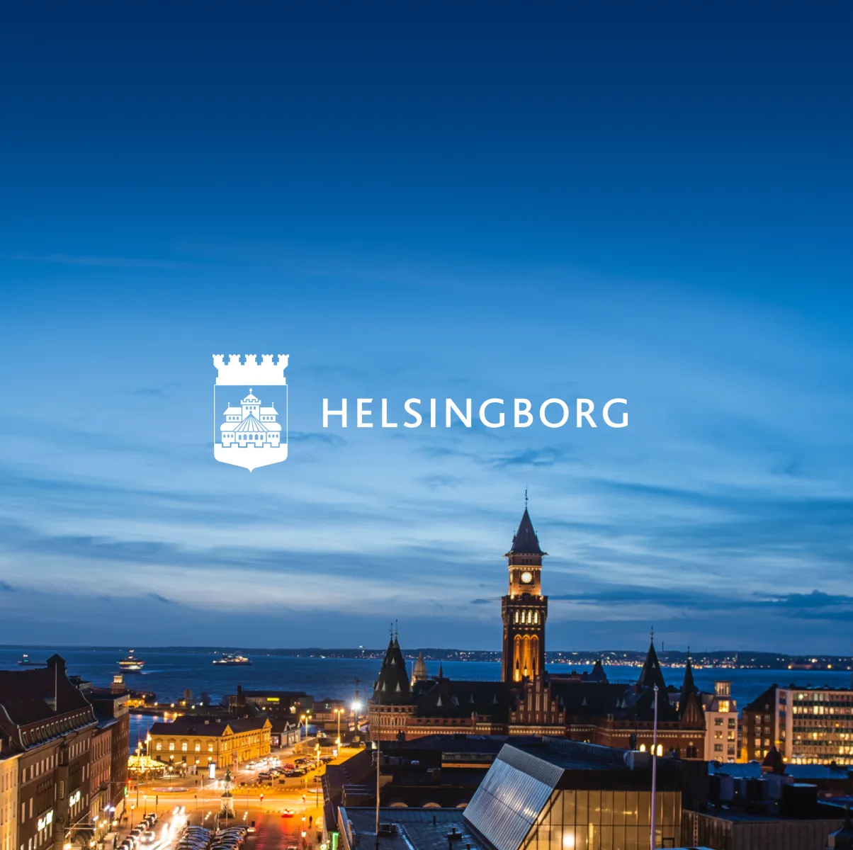 Helsingborg reduced its potholes by 70% using 3DAI