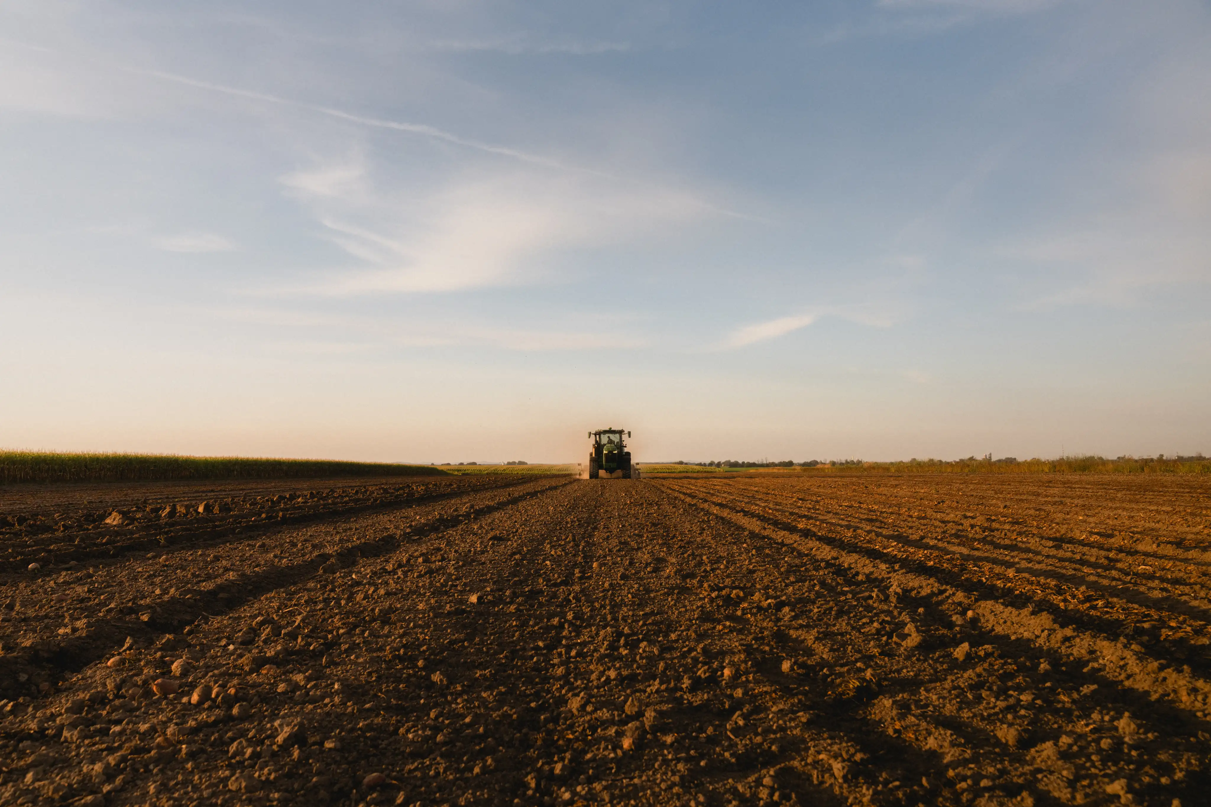 Champ des Fermes G.N.C. au lever du jour avec un tracteur au loin