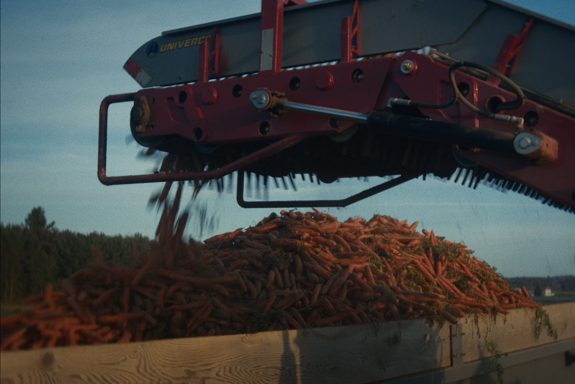 Récolte mécanisée de carottes dans un champ des Fermes G.N.C.