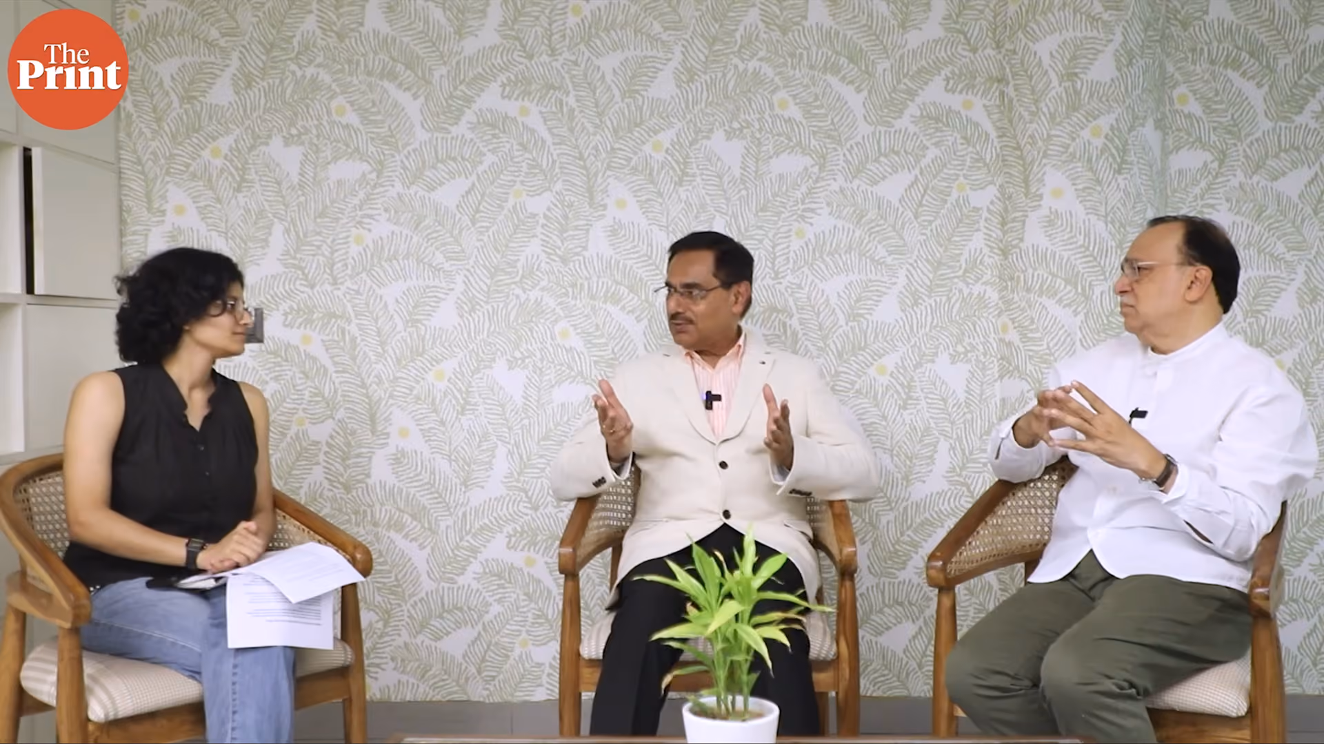Three people seated on chairs having a discussion with a plant on the table before them.