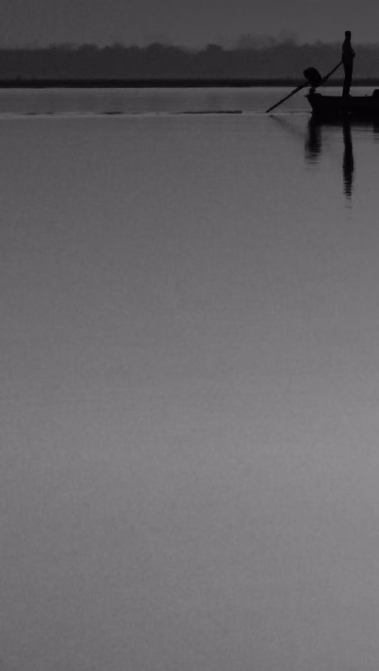 Silhouette of a person standing on a boat rowing across calm water with tree line in background.