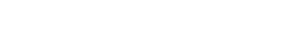 Wiser brand logo in bold stylized white font.