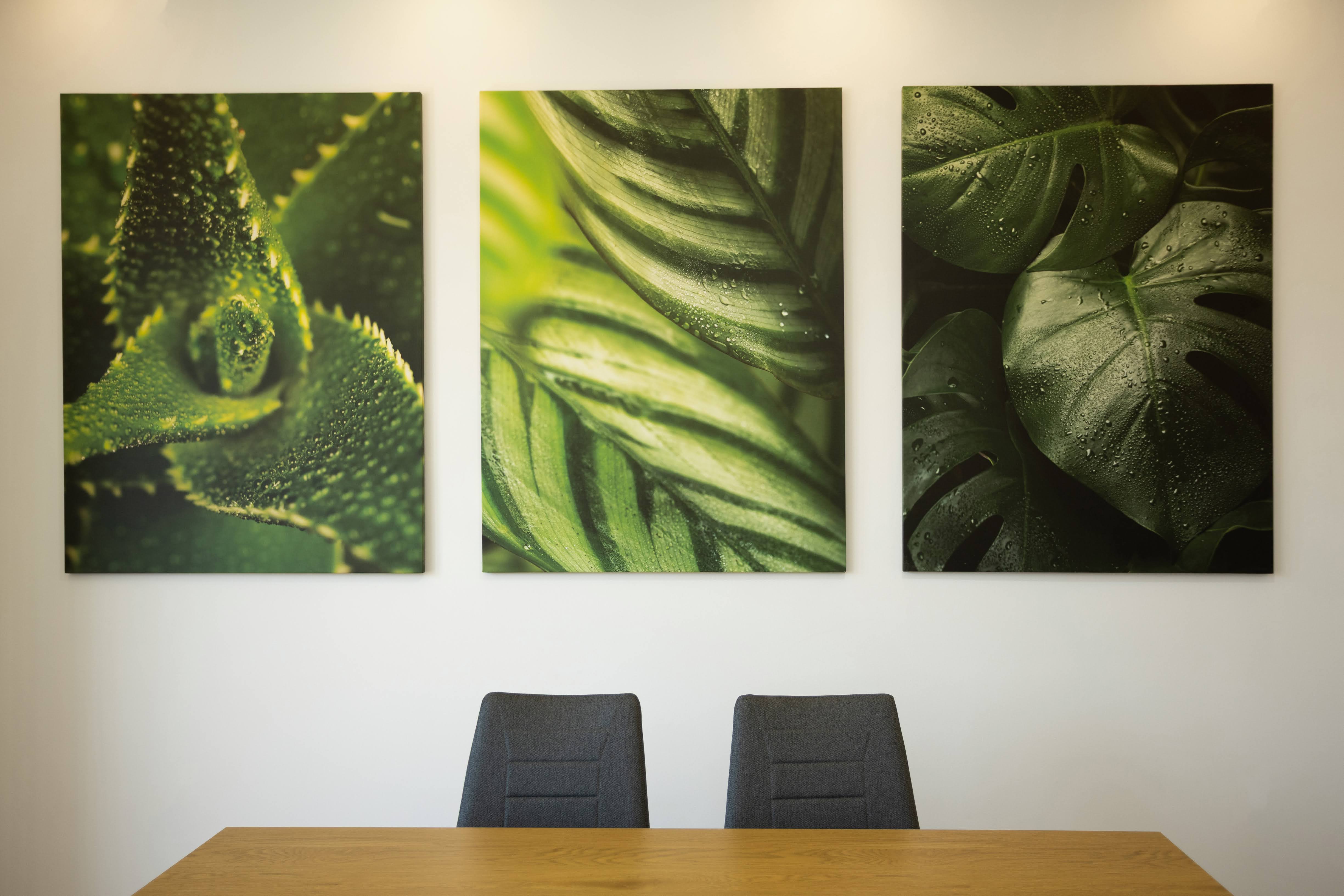 Three green leaf close-up photos hung above a wooden table with two gray chairs.