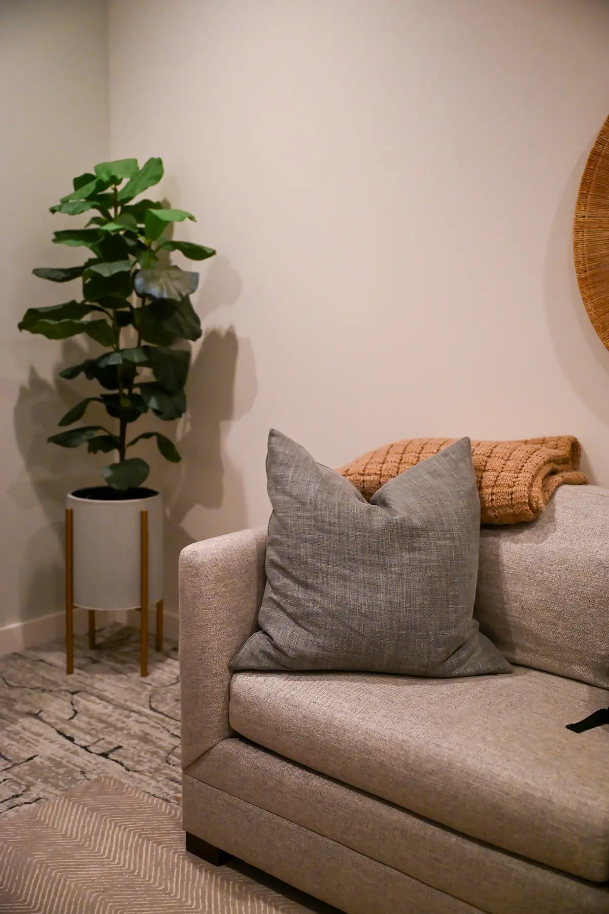 Plymouth office waiting room with a plant and a couch