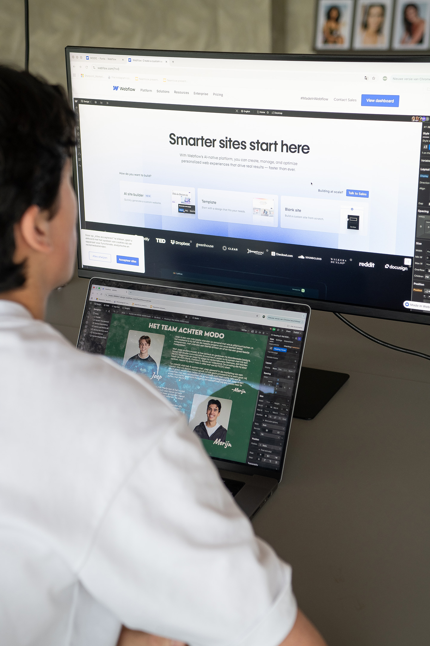Websites door MODO