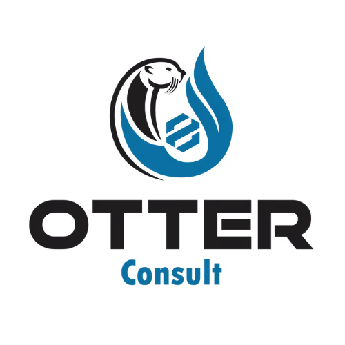 Stylized logo with an otter face and blue flame above text saying Otter Consult.