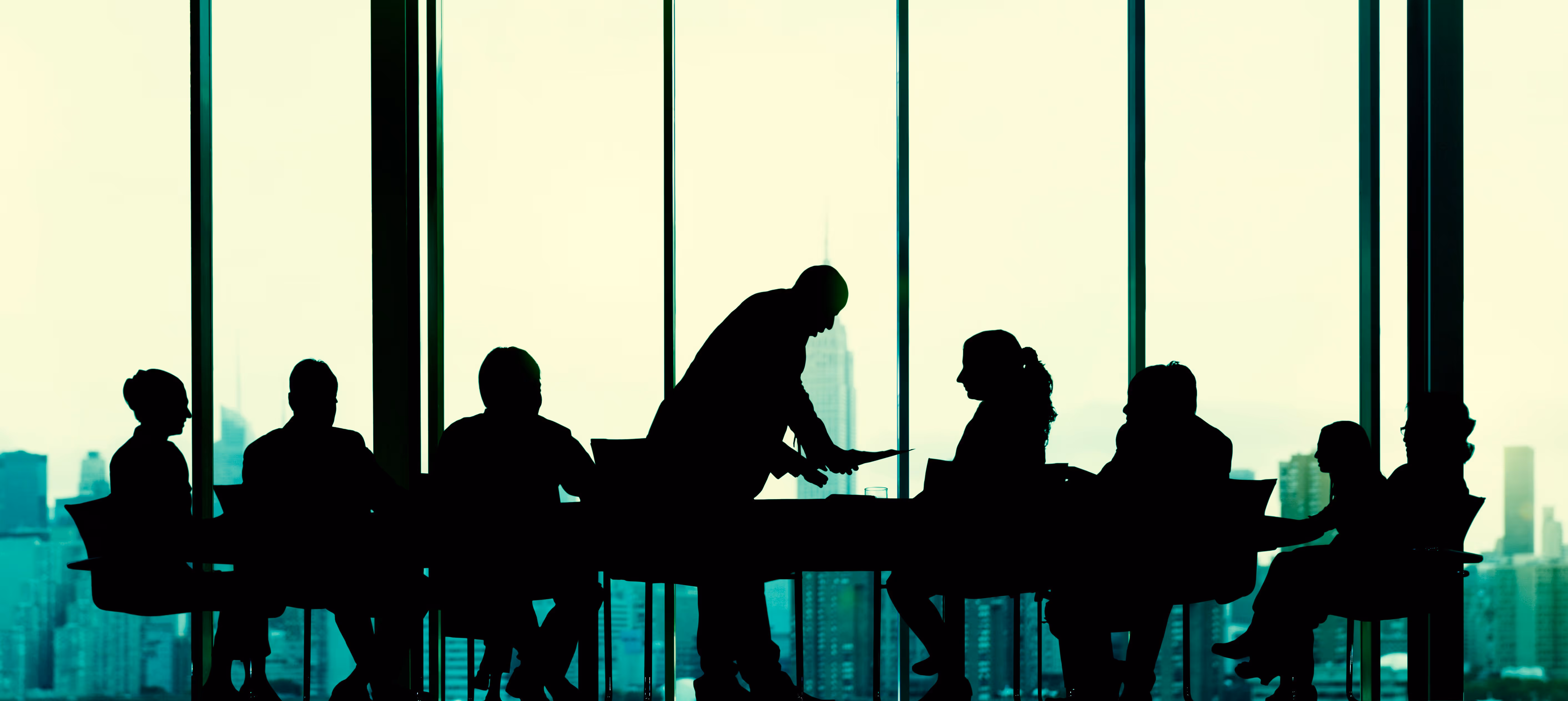 Strategic Partnerships & Market Access