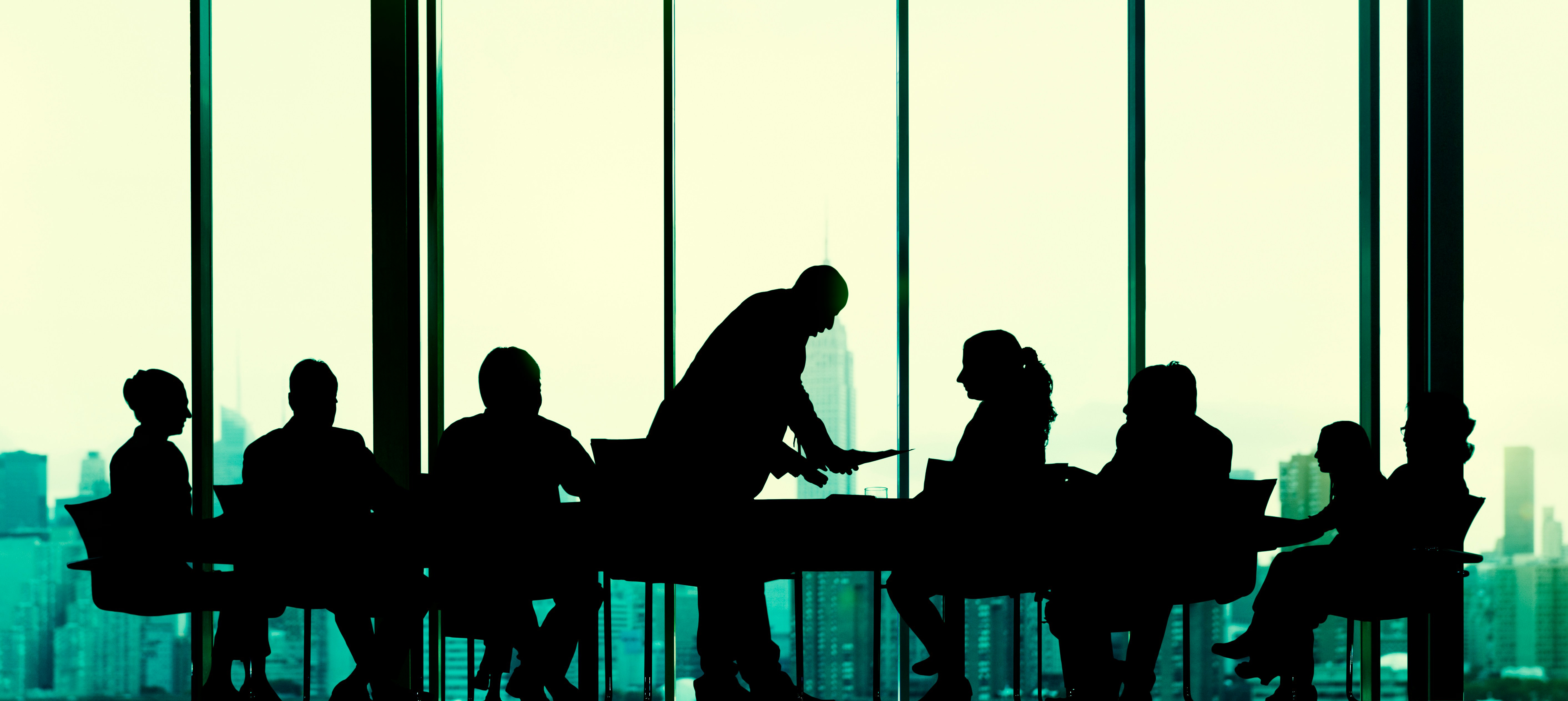 Strategic Partnerships & Market Access