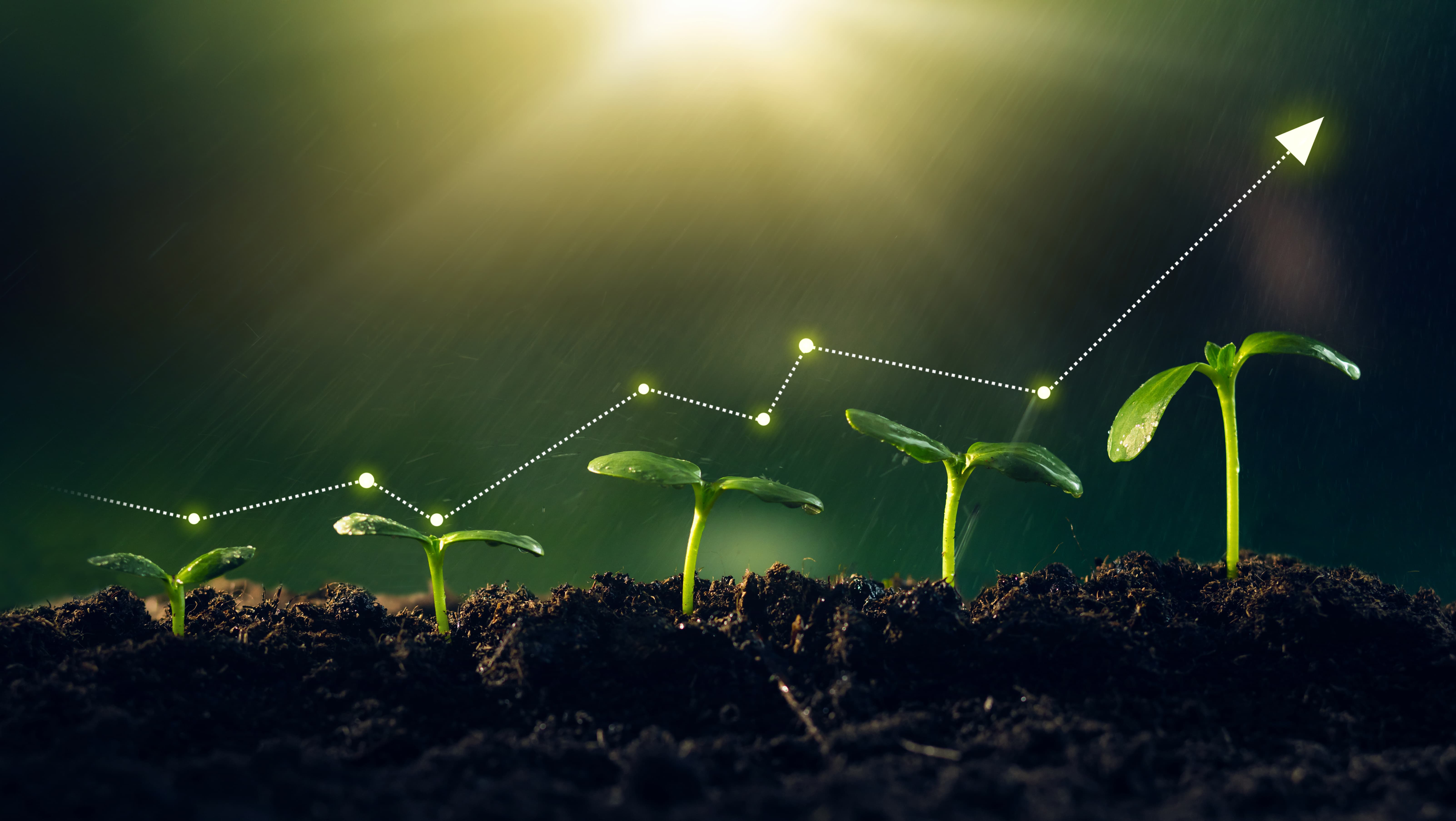 Five small green seedlings growing out of soil with a white dotted growth chart overlaid.