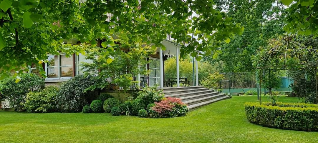 Jardin entretenu avec pelouse et arbres après une intervention de Vernay Paysage.