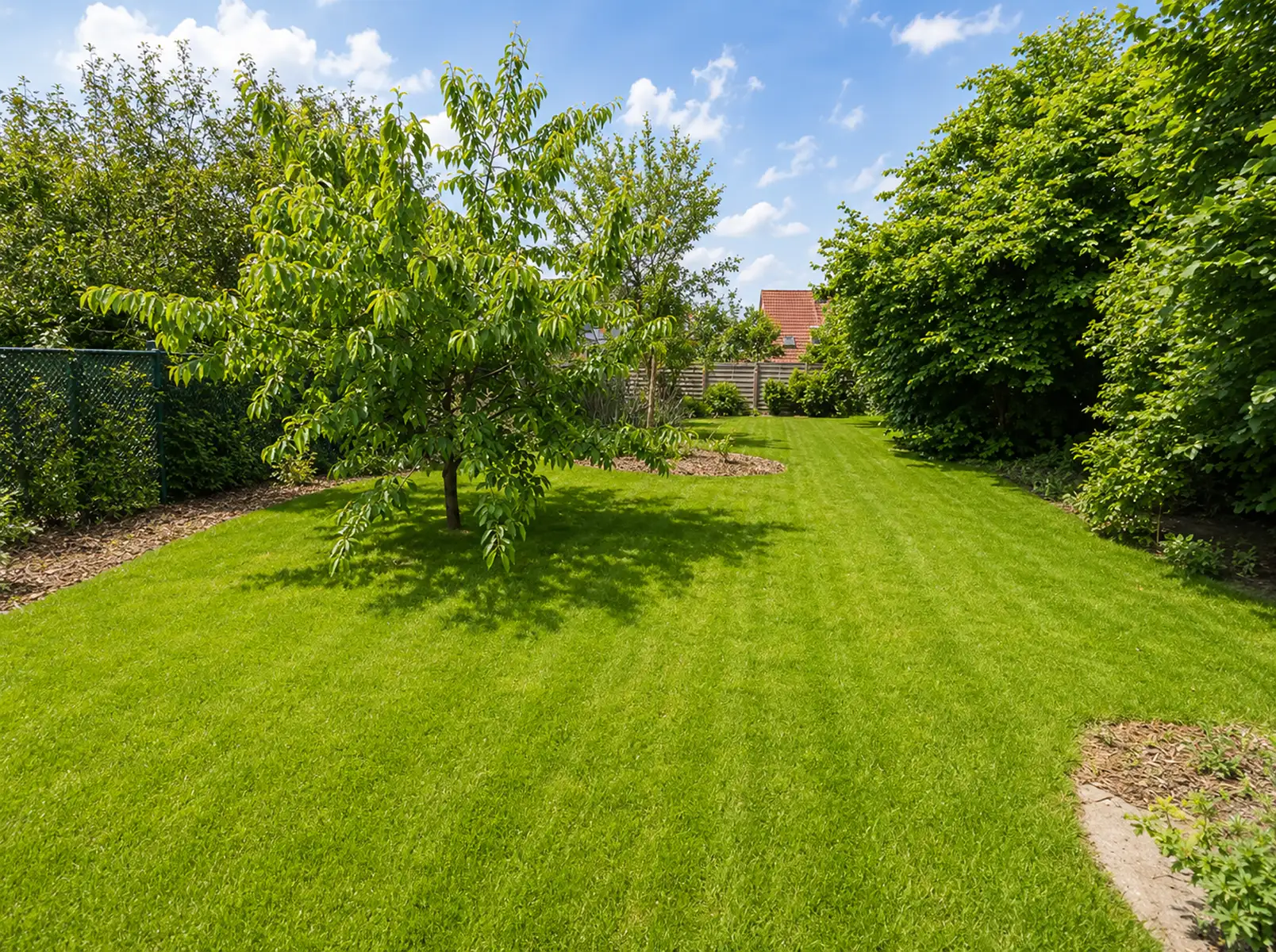 Jardin entretenu avec pelouse et arbres après une intervention de Vernay Paysage.