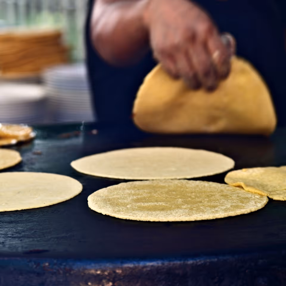 Hand holding a folded tortilla cooking on a hot griddle with other tortillas cooking flat.