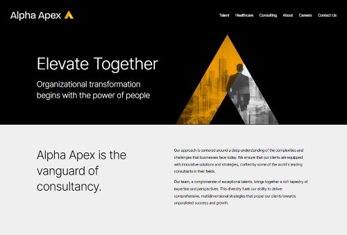 Alpha Apex Group website