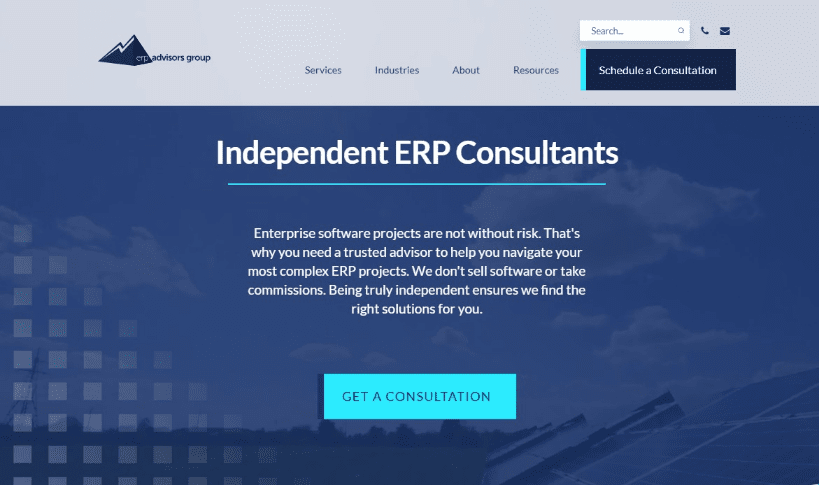 ERP Advisors Group website