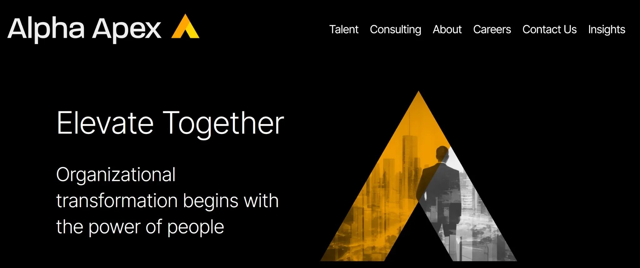 Alpha Apex Group website