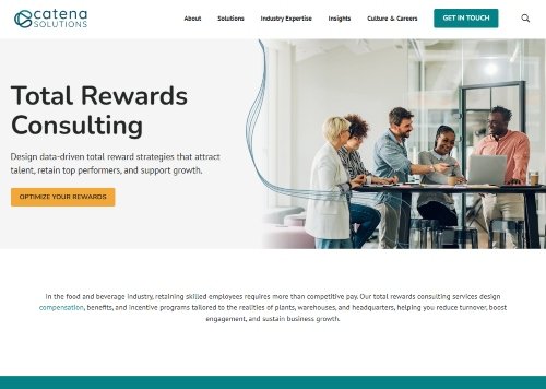 Catena Solutions website