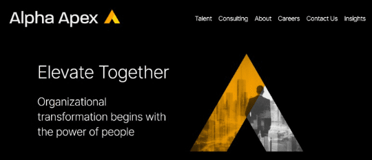 Alpha Apex website